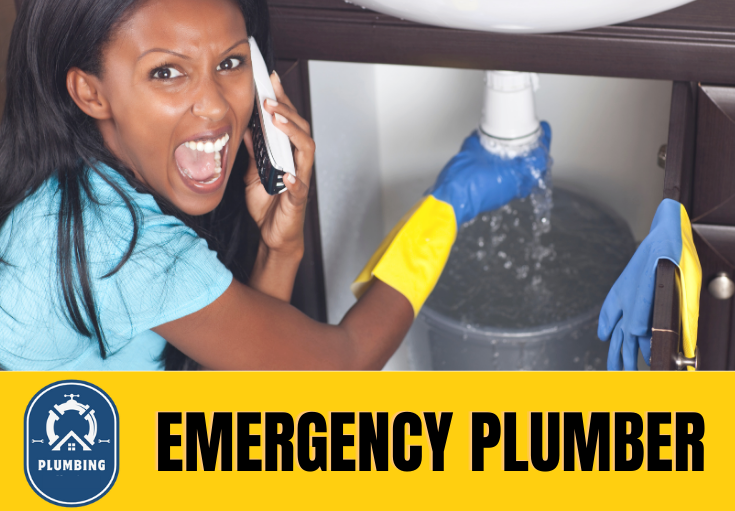 emergency plumber Wrotham