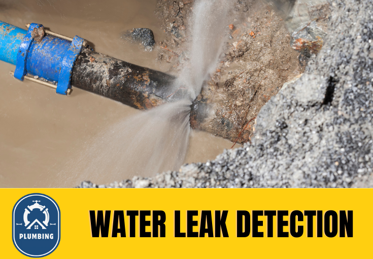 leak detection Wrotham